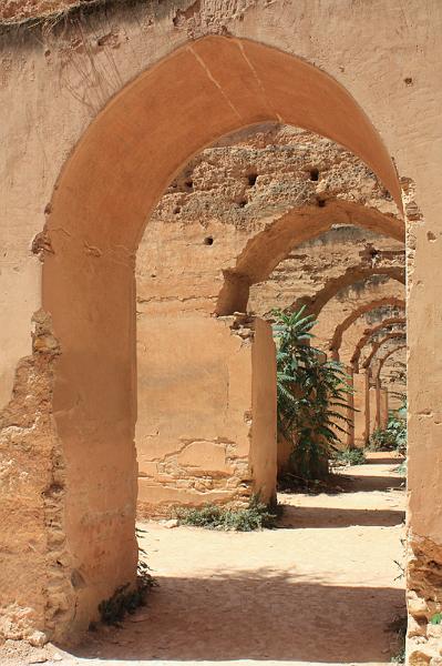 126-Meknes,2 agosto 2010.JPG